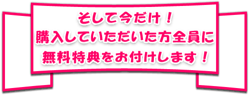 そして今だけ！購入していただいた方全員に無料特典をお付けします！